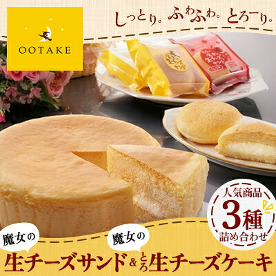 【ふるさと納税】【こだわりチーズの人気スイーツ詰合せ】魔女の生チーズサ...(4)