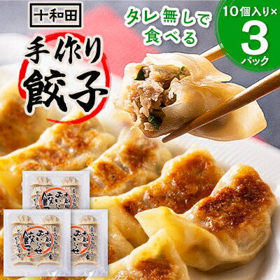 【ふるさと納税】タレ無しで食べる十和田の手作り餃子　1パック(10個入り)×3【配送不可地域：離島】【1033463】 1