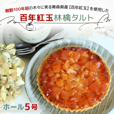 【ふるさと納税】青森県十和田市産 百年紅玉林檎タルト ホール5号【配送不可地域:離島】【1101371】