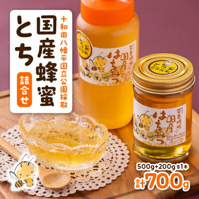 【ふるさと納税】国産蜂蜜とち詰合せ(200g・500g)【配送不可地域：離島】【1112809】