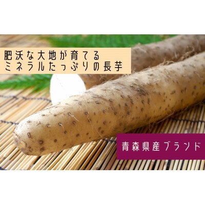 【ふるさと納税】【十和田自慢】青森県十和田市の逸品!　　長いも3kg入り(2本～4本入り)【1275355】