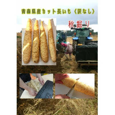 18位! 口コミ数「0件」評価「0」【十和田自慢】青森県十和田市の逸品!　　カット長いも3kg入り(6ケ～8ケ入り)真空パック包装【1275361】