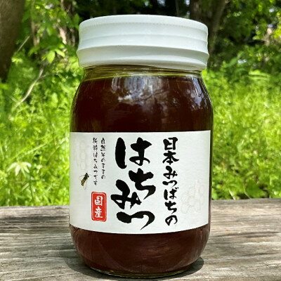 【ふるさと納税】【青森県十和田市産】日本みつばち蜂蜜550g