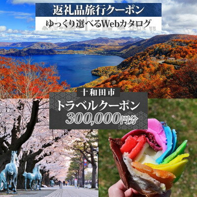 ڤդ뤵Ǽǡ۽Ļ 夫٤ιWebǻȤ!ιԥݥ(300,000ʬ)1602695