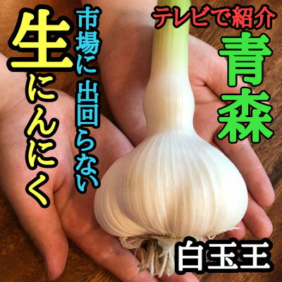 【ふるさと納税】青森生にんにく35玉★年に1度、収穫時期しか食べられない逸品です★【配送不可地域:離島】【1619323】 【ふるさと納税】青森生にんにく35玉★年に1度、収穫時期しか食べられない逸品です★【配送不可地域:離島】【1619323】