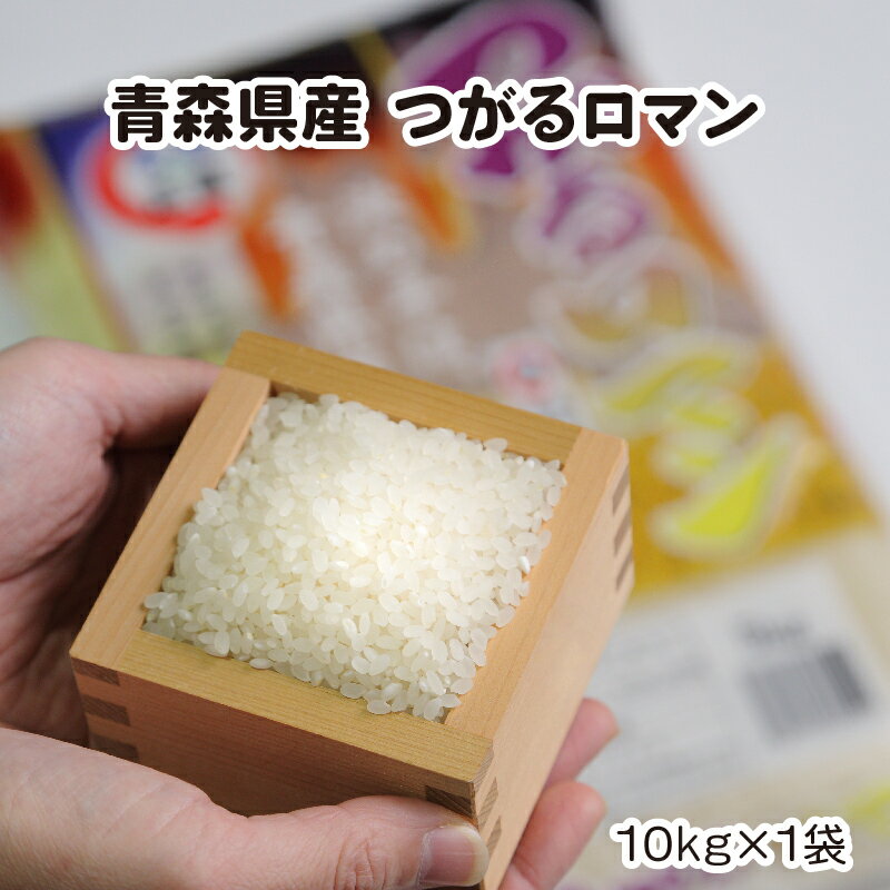 【ふるさと納税】【令和4年産】青森県産つがるロマン　10kg【配送不可地域：離島】【...