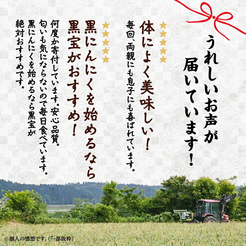 【ふるさと納税】青森県産熟成黒にんにく【黒宝】500g_ 黒にんにく 黒大蒜 くろにんにく 健康食品 熟成 発酵 スタミナ 送料無料 青森県 十和田市 【配送不可地域：離島】【1144550】