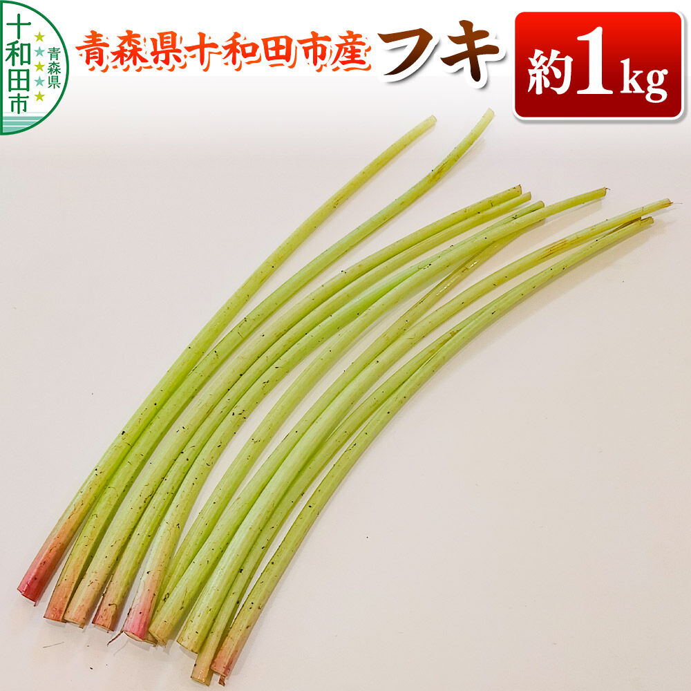 【ふるさと納税】【2027年5月中旬発送・先行受付】山菜 フキ 蕗 約1kg 青森県十和田市産 [旬のもの 山菜 春 ふき 蕗 ちょうぶき]