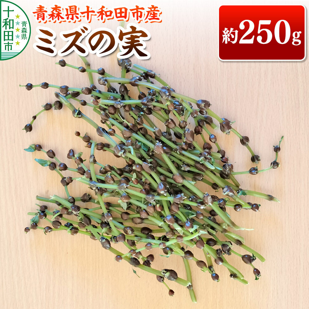 [9月中旬発送・先行受付]山菜 ミズの実 約250g 青森県十和田市産 [旬のもの 山菜 秋 むかご みずの実 稀少]