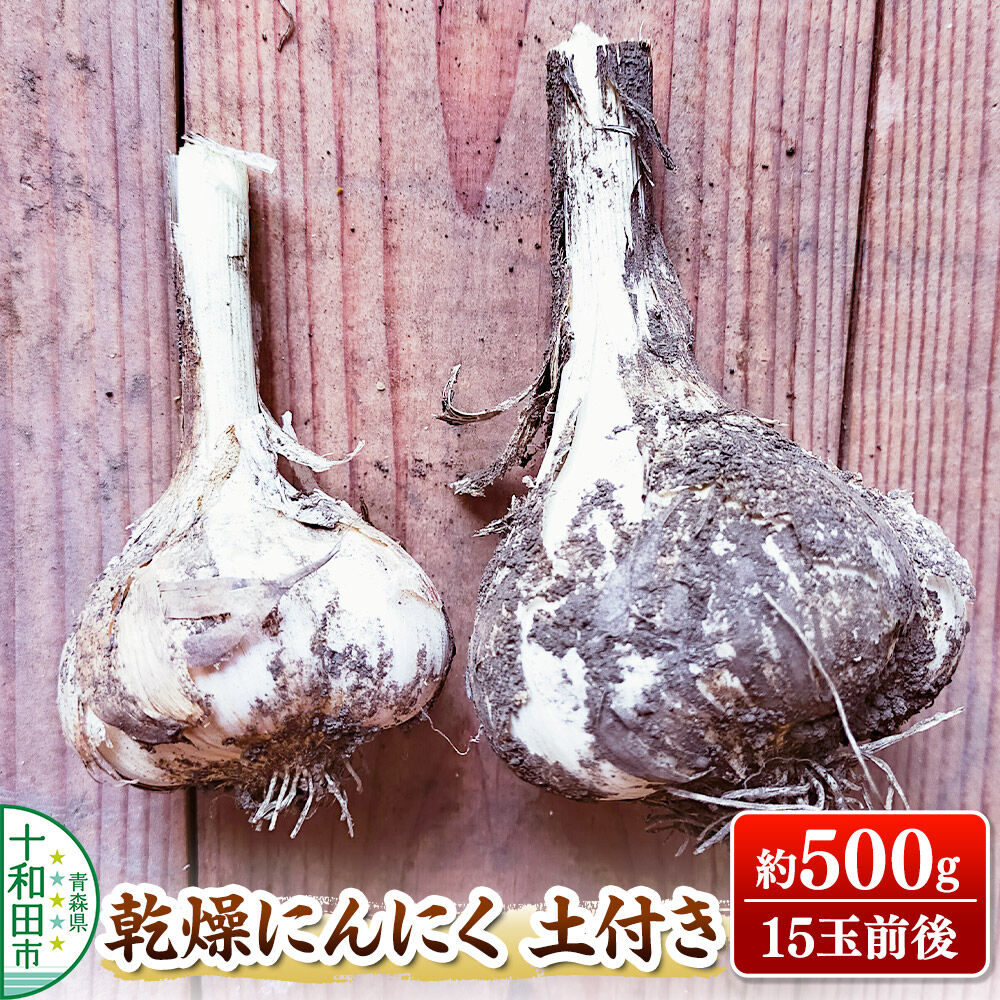 乾燥にんにく土付き 約500g(約15玉) 青森県十和田市産 [ニンニク にんにく 野菜 根菜 国産 青森 十和田市]