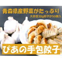 【ふるさと納税】ぴあの手包餃子　青森県産の食材がたっぷり本格的な手包餃子　【配送不可地域：離島】【1261635】