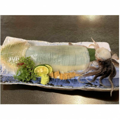 【ふるさと納税】いか刺し　青森県三沢産　赤とんぼ　約150g×3枚(計約450g)【配送不可地域：離島】【1357347】