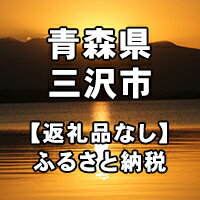 楽天ふるさと納税　【ふるさと納税】青森県三沢市への寄付（返礼品はありません）