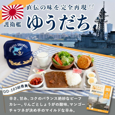 大湊海自カレー「護衛艦ゆうだちカレー」レトルト　200g×4【1071682】