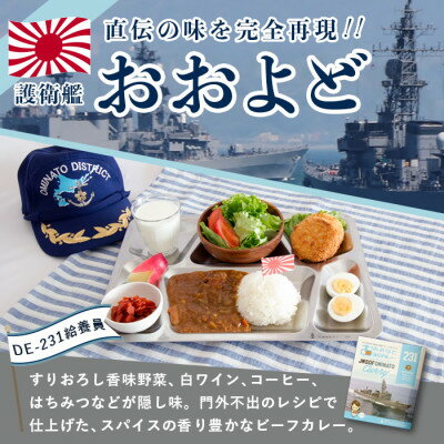 【ふるさと納税】大湊海自カレー「護衛艦おおよどカレー」レトル