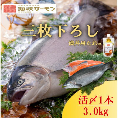 【ふるさと納税】【2024年5月上旬発送】海峡サーモン船上活〆3.0kg1本 (冷蔵)【配送不可地域：離島】【1153590】