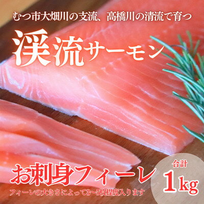 【ふるさと納税】渓流サーモン　お刺身フィーレ　1kg【配送不可地域：離島】【1484620】