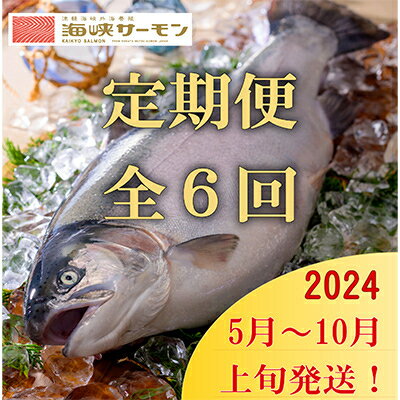 【発送月固定定期便】海峡サーモン堪能セット全6回【配送不可地域：離島】【4012605】