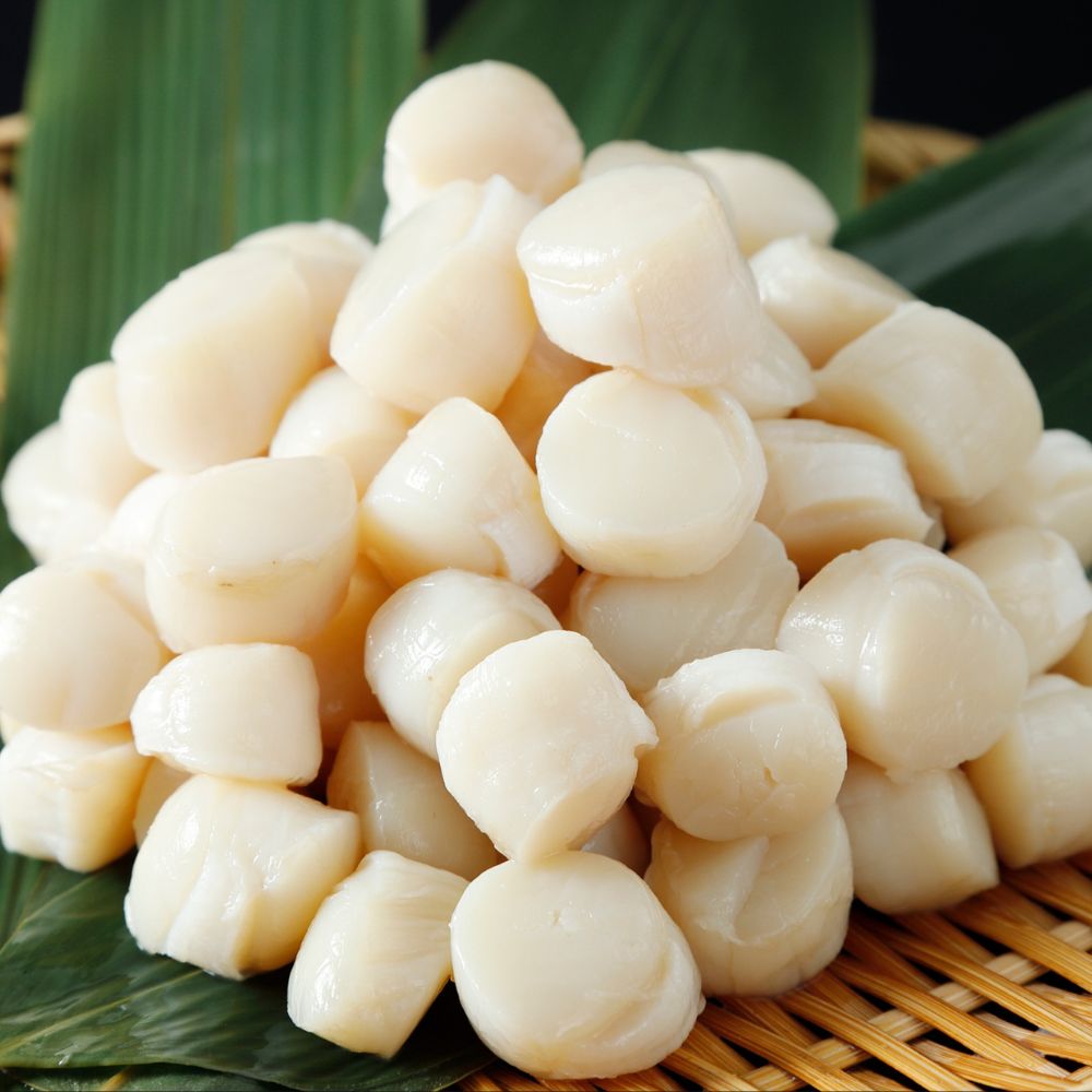 ڤդ뤵ǼǡΦѻܥۤƳ졡500gԲϰ衧Υ