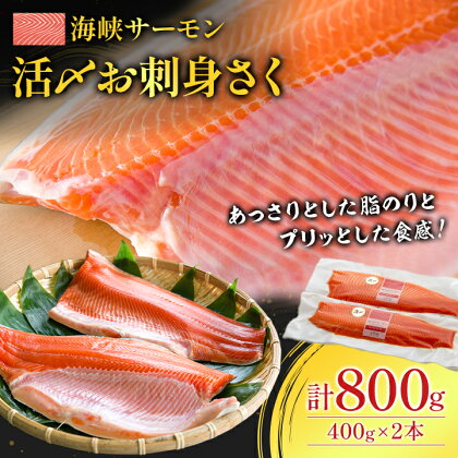 【2024年6月中旬発送】海峡サーモン　活〆お刺身さく2本 800g【配送不可地域：離島】【1153624】