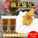 【ふるさと納税】濃厚な旨味 津軽海峡産 無添加 極上塩ウニ 120g 海鮮 新鮮 うに ウニ 魚介 海の幸 海産物 ふるさと納税 ウニ むつ市
