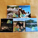 【ふるさと納税】下北ジオ Drip Coffee 1セット(5個入り)