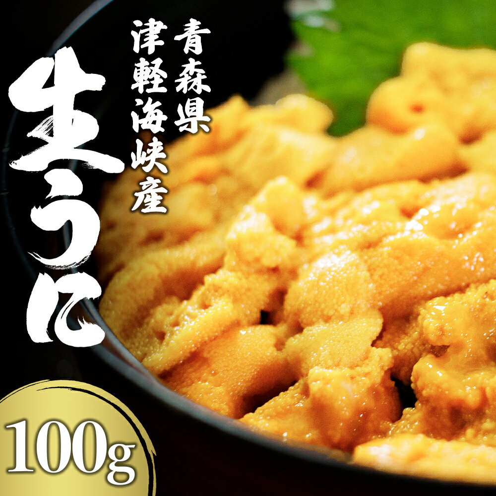 津軽海峡産 生うに パック 100g×1 キタムラサキウニ 大畑漁協 魚介 海の幸 海産物 ふるさと納税 むつ市