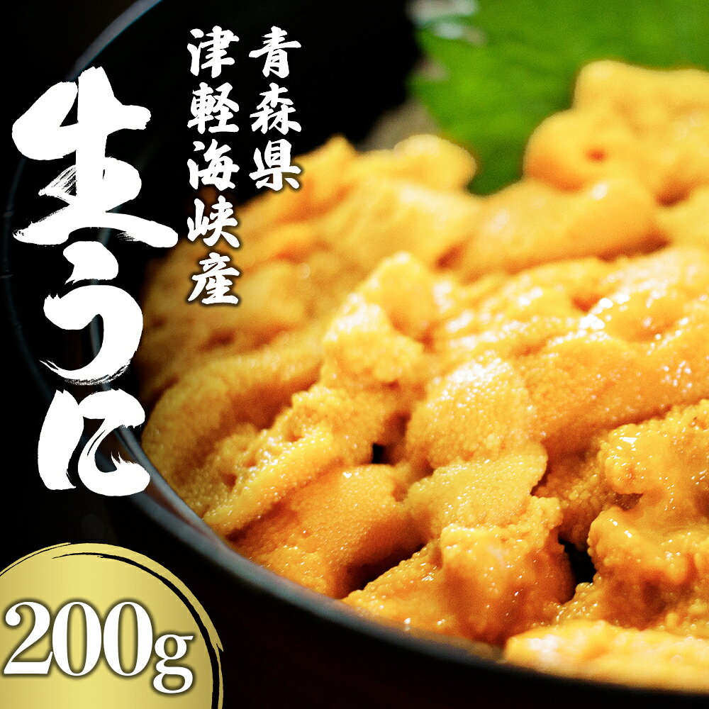 【ふるさと納税】津軽海峡産 生うに パック 100g×2 キタムラサキウニ 大畑漁協 魚介 海の幸 海産物 ふるさと納税 むつ市