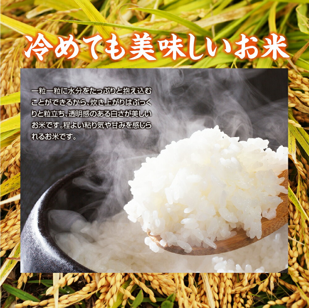 【ふるさと納税】令和7年産　青森県産米　5kg