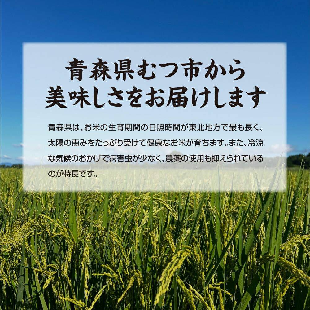 【ふるさと納税】令和7年産　青森県産米　5kg