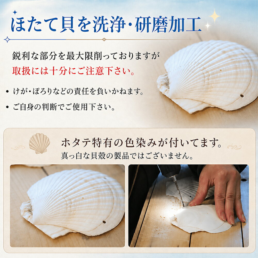 【ふるさと納税】「ホタテ水着 上下セット」と「漁師カード マダム・ムチュリーホタテ水着version 1枚」 ホタテ 水着 貝殻水着 ふるさと納税 水着