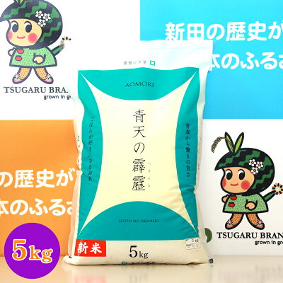 楽天ふるさと納税　【ふるさと納税】令和5年産 青森県 つがる市産米 青天の霹靂 5kg (精米) [0455]