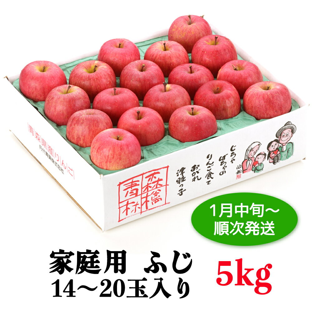 【ふるさと納税】家庭用りんご サンふじ 5kg (14～20玉入り 5kg 1箱)～見た目にわけあり 味はそのまま～｜青森 津軽 つがる リンゴ 訳あり 果物 旬 [0342]