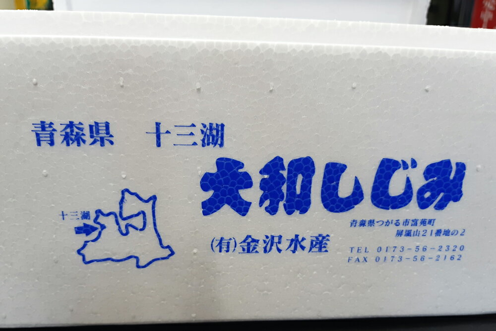 【ふるさと納税】青森県十三湖産【冷凍】ヤマトシジミ 特大 1kg｜十三湖産 青森 津軽 つがる しじみ みそ汁 味噌汁 しじみ汁 [0554]