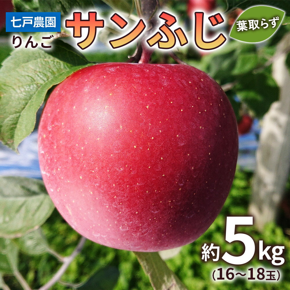 【ふるさと納税】りんご サンふじ 葉取らず 約5kg(16～