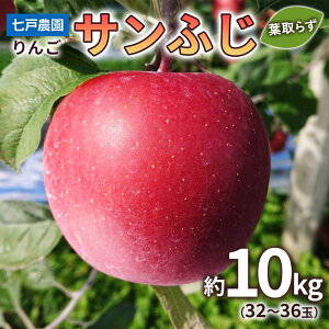 【ふるさと納税】りんご サンふじ 葉取らず 約10kg(32～36玉) 青森産 つがる市【2024年11月下旬より順次発送】｜青森県産 津軽 リンゴ 果物 令和6年産 [0333]