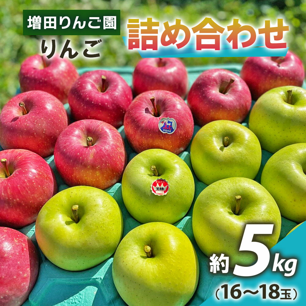 りんご 詰め合わせ 約5kg(16〜18玉) 青森産 つがる市[2024年11月下旬より順次発送]|青森県産 津軽 つがる リンゴ 果物 サンふじ 王林 [0609]