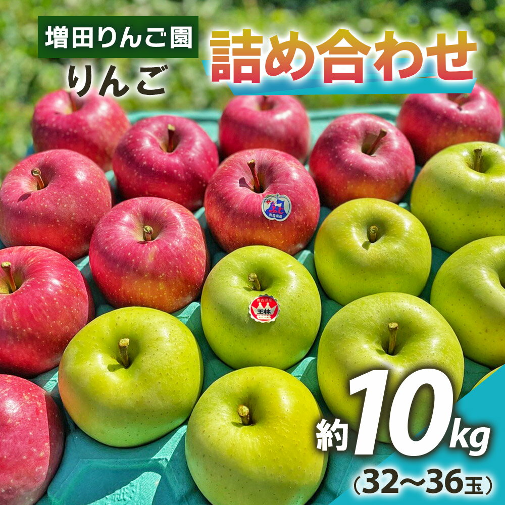 【ふるさと納税】りんご 詰め合わせ 約10kg(32～36玉) 青森産 つがる市【2024年11月下旬より順次発送...