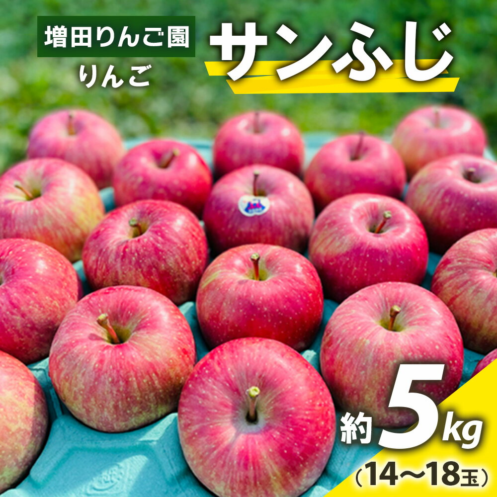 りんご サンふじ 約5kg(14〜18玉) 青森産 つがる市[2024年11月下旬より順次発送]|青森県産 津軽 つがる リンゴ 果物 サンふじ [0612]