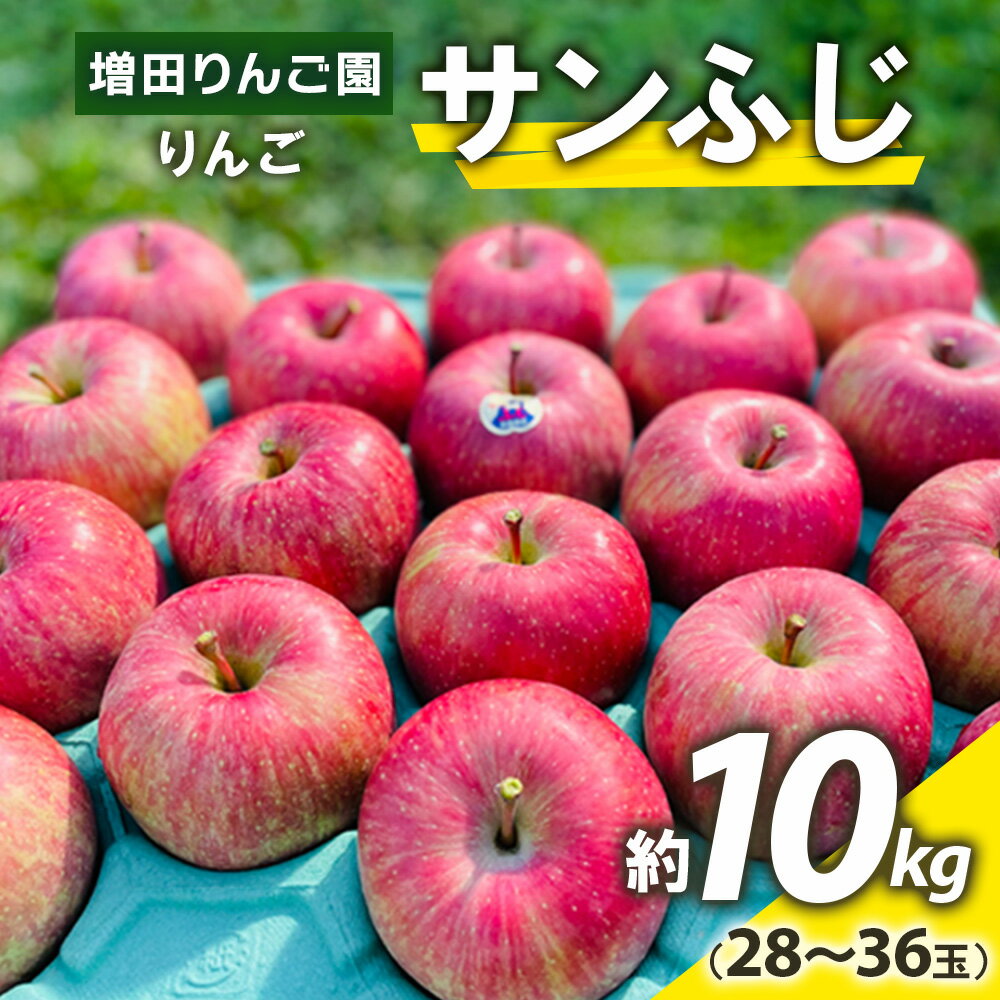 【ふるさと納税】りんご サンふじ 約10kg(28～36玉) 青森産 つがる市【2024年11月下旬より順次発送】...