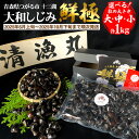 【ふるさと納税】十三湖産 大和しじみ -鮮極- 1kg (500g×2パック)|ヤマトシジミ貝 青森 津軽 十三湖 つがる みそ汁 冷蔵 生しじみ しじみ 貝 ...