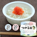 【ふるさと納税】特別栽培米のパックごはん はれわたり「つがる米」|パックご飯 ごはん お米 白米 はれわたり 時短 キャンプ お手軽 青森県産米 特別栽培 防災...
