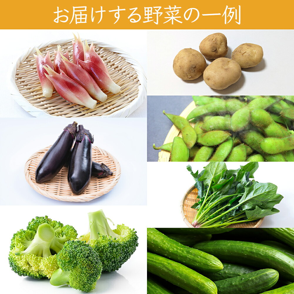 【ふるさと納税】つがる市産 おまかせ秋の野菜セット 約4kgから5kg｜旬の野菜 秋 野菜セット おまかせ 詰め合わせ 産直 産地直送 新鮮 冷蔵 ギフト サラダ 青森 つがる 令和8年産 2026年産 [1007] f022098-tsugaru-10000750 青森県つがる市 サンプル画像2