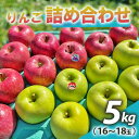 【ふるさと納税】りんご 詰め合わせ 約5kg(16～18玉) 青森産 つがる市【2024年11月下旬より順次発送】｜青森県産 津軽 つがる リンゴ 果物 サンふじ 王林 [0609]