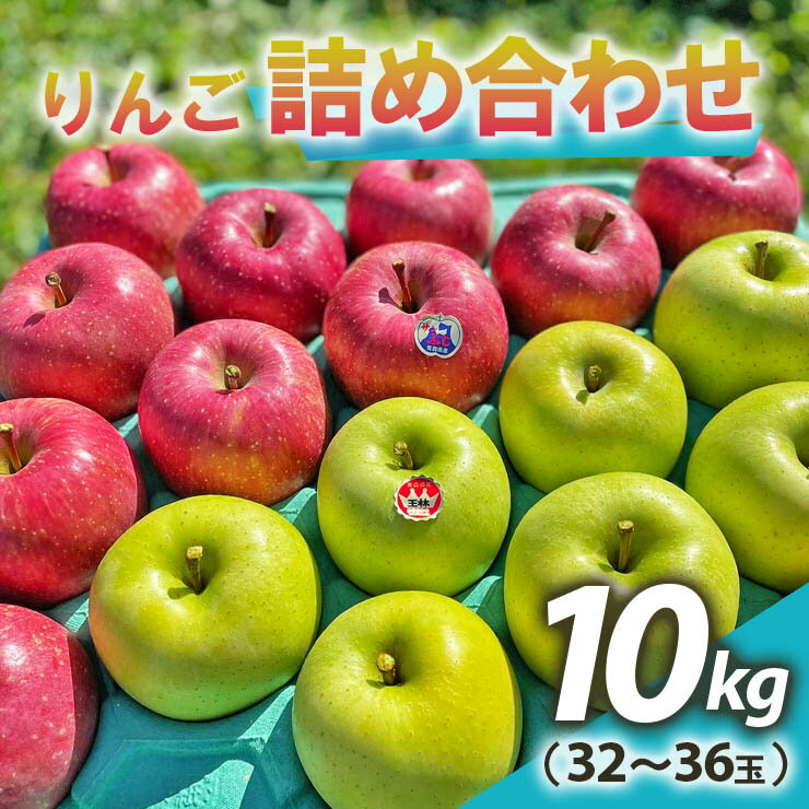 【ふるさと納税】りんご 詰め合わせ 約10kg(32～36玉) 青森産 つがる市【2024年11月下旬より順次発送】｜青森県産 津軽 つがる リンゴ 果物 サンふじ 王林 [0610]