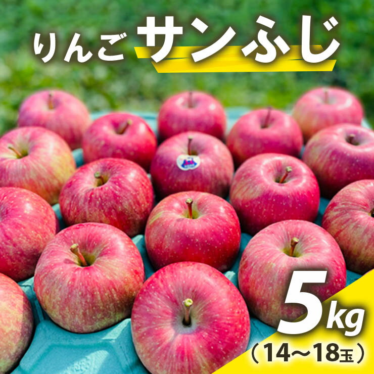 りんご サンふじ 約5kg(14〜18玉) 青森産 つがる市[2024年11月下旬より順次発送]|青森県産 津軽 つがる リンゴ 果物 サンふじ [0612]