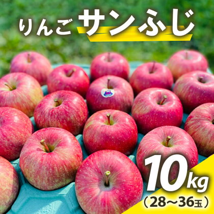 りんご サンふじ 約10kg(28～36玉) 青森産 つがる市【2024年11月下旬より順次発送】｜青森県産 津軽 つがる リンゴ 果物 サンふじ [0613]