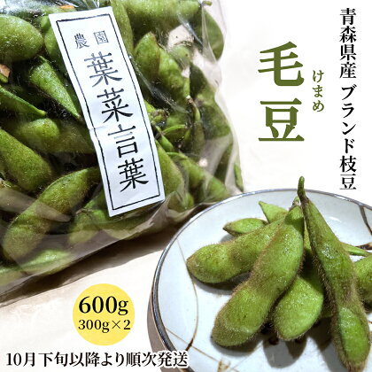 農園 葉菜言葉のおいしい毛豆 600g 令和6年産｜青森県産 枝豆 ブランド枝豆 おつまみ 大粒豆 けまめ えだまめ 2024年産 [0532]