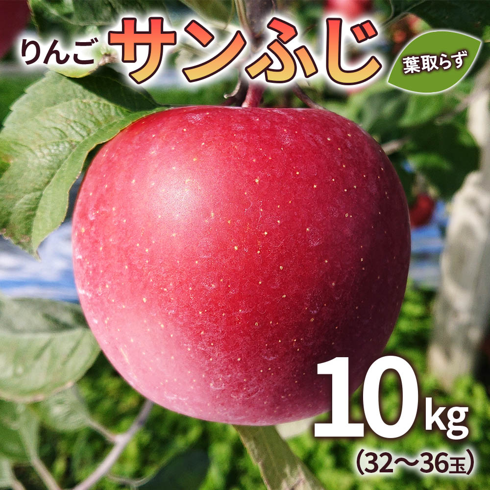 【ふるさと納税】りんご サンふじ 葉取らず 約10kg(32～36玉) 青森産 つがる市【2024年11月下旬より順次発送】｜青森県産 津軽 リンゴ 果物 令和6年産 [0333]