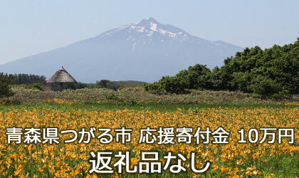 《返礼品なし》「つがる市へのご寄附 100,000円」つがる市の発展のために活用させていただきます！ [0079] 青森 津軽 つがる つがる市